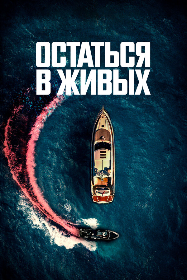 Остаться в живых - постер